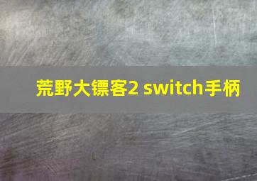 荒野大镖客2 switch手柄